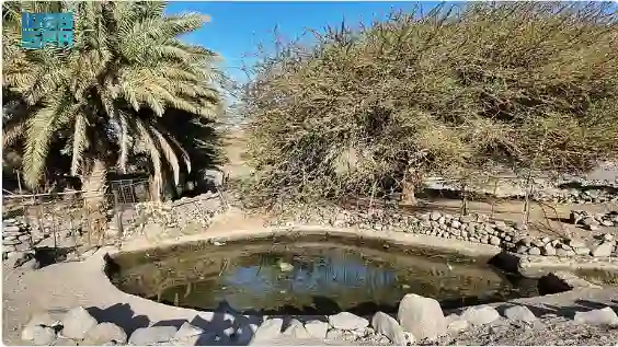 نهر العلا الذي لم يتوقف منذ آلاف السنين وصور ساحرة تنشر لأول مرة 