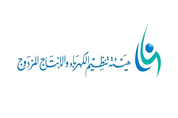 الكهرباء السعودية تعلن تفاصيل نظام الكهرباء الجديد
