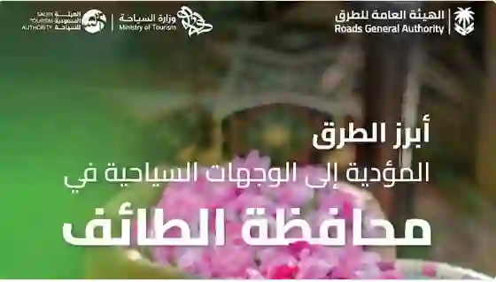 ارتفاع غير مسبوق في عدد السياح الى الطايف في صيف هذا العام