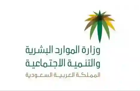 الموارد البشرية تحدد البيانات التي يجب تحديثها لإلغاء بلاغ هروب على مقيم
