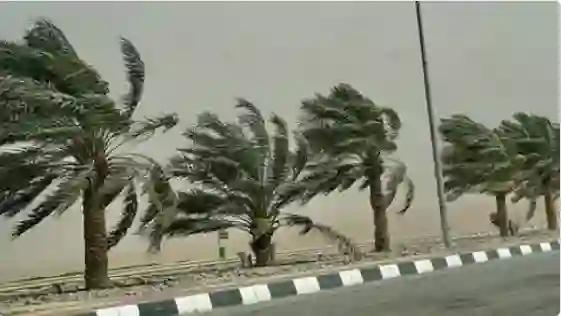 الوطني للأرصاد يحذر من موجات رياح قوية وغبار كثيف حتى نهاية الأسبوع